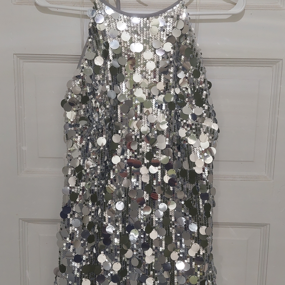 Sparkling Silver Sequin Dress